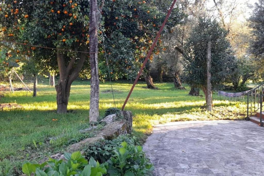 Casa da Pedrada — área de refeição exterior