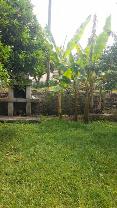 Casa da Pedrada — vista panorâmica da Serra Amarela